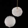 Jo Victoria Ceramics Incense | Porcelain Urchin Incense Holder